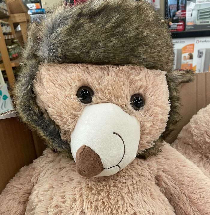 image-20240315142037-6