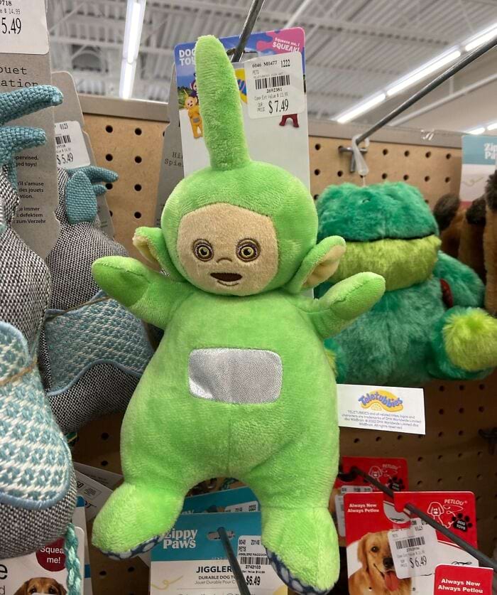 image-20240315142109-14