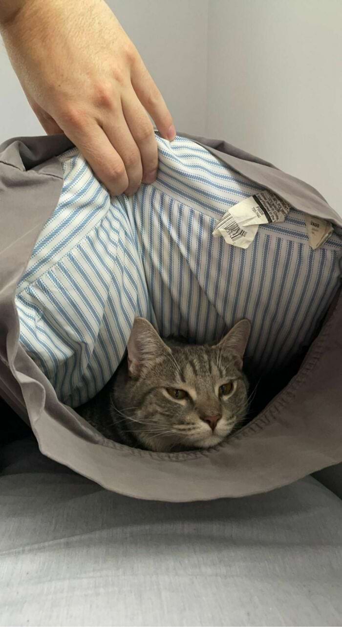 image-20240315165306-1