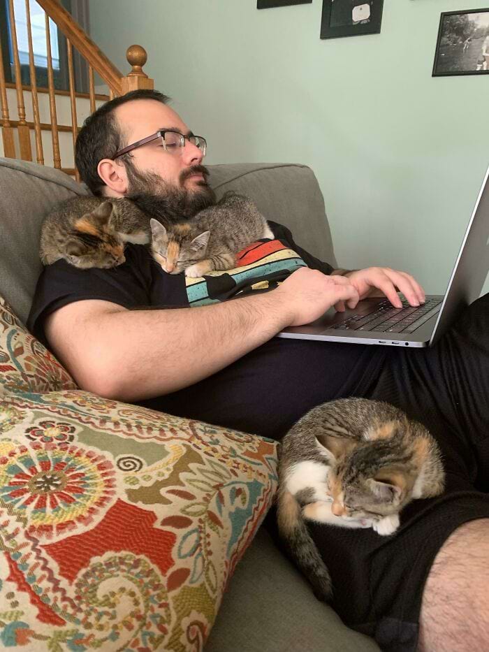 image-20240315165313-3