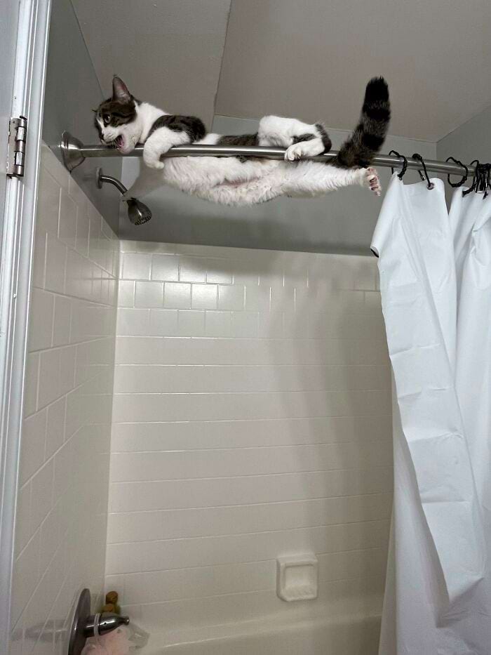 image-20240315165320-5