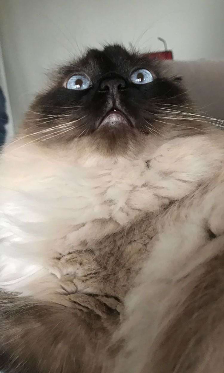 image-20240315165328-8