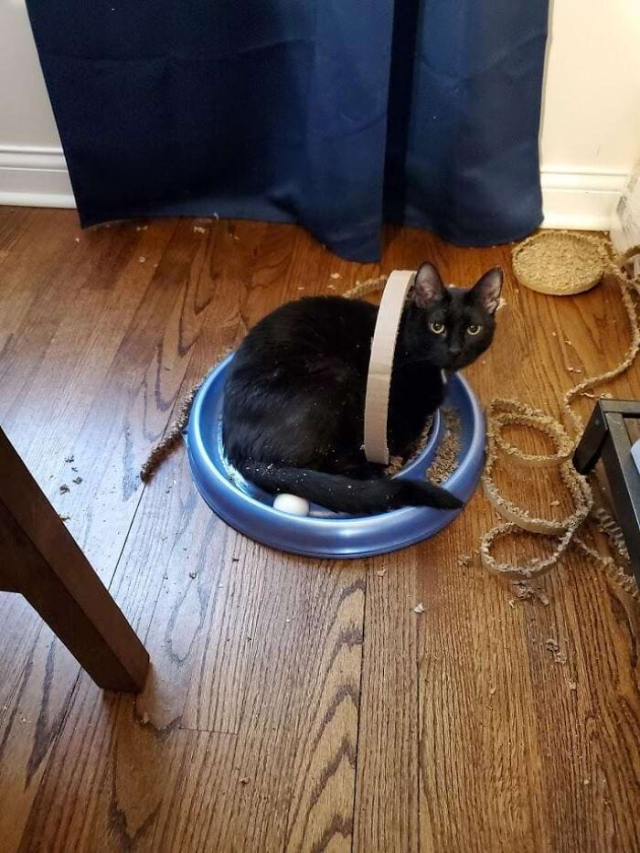 image-20240315165406-10