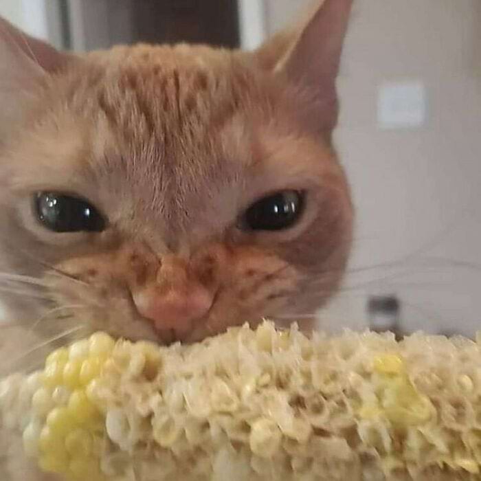 image-20240315165509-11