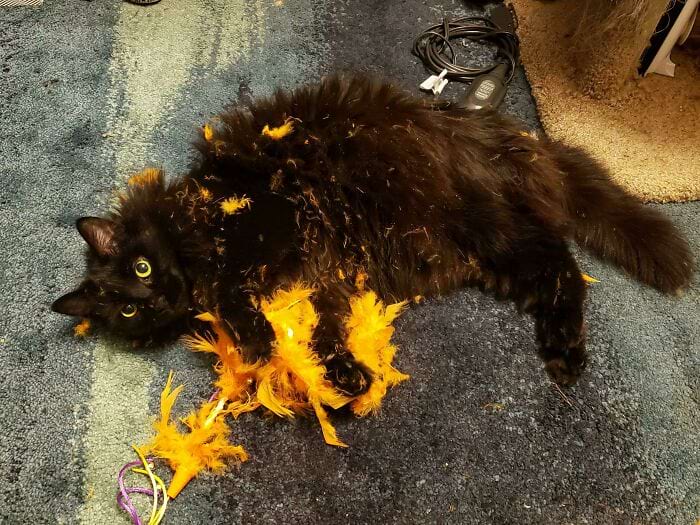 image-20240315165512-12