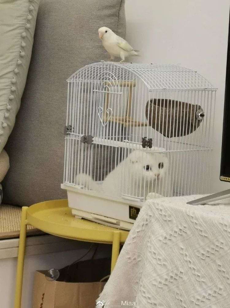 image-20240315165522-14