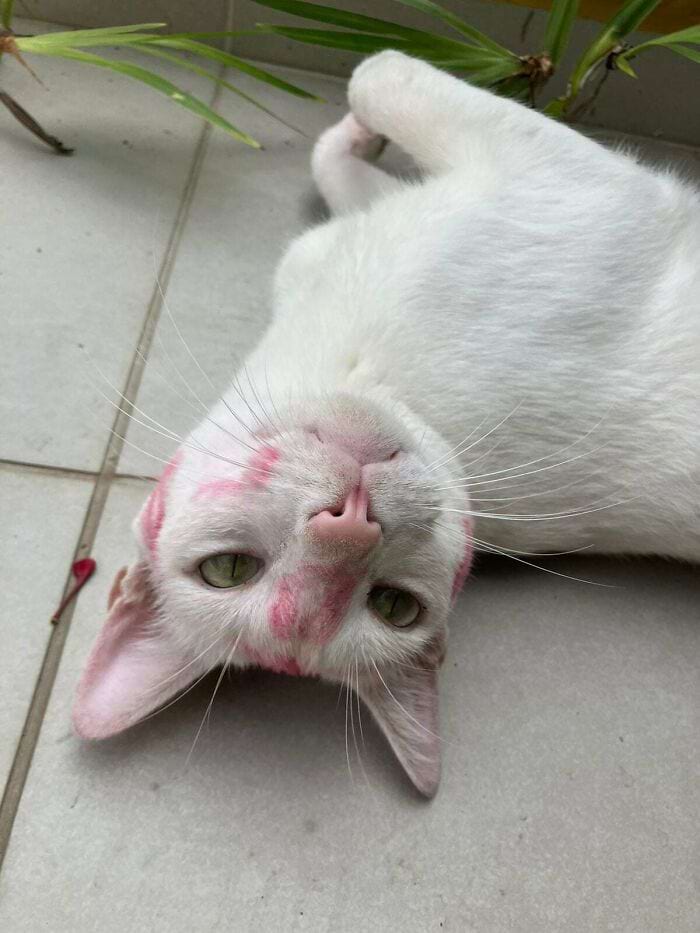 image-20240315165524-15