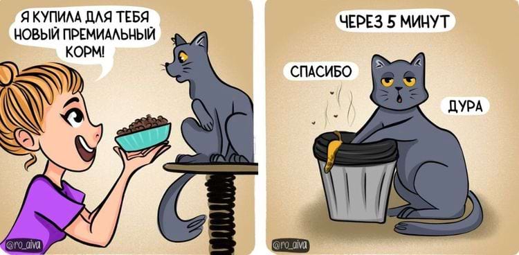 image-20240318104902-8