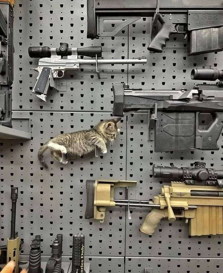 image-20240318114358-4