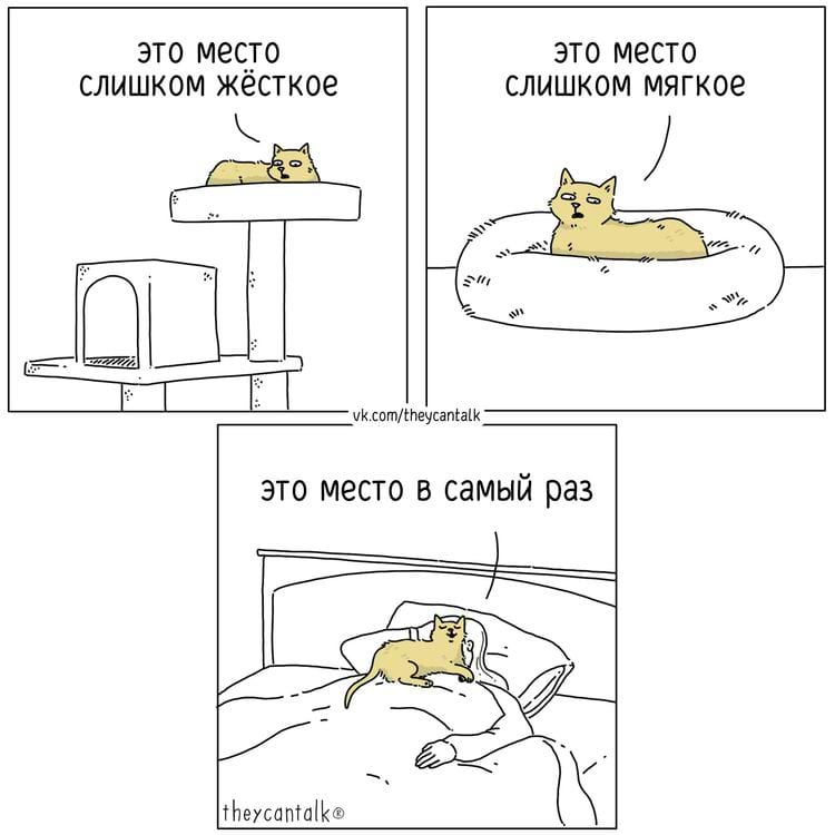 image-20240319111719-2