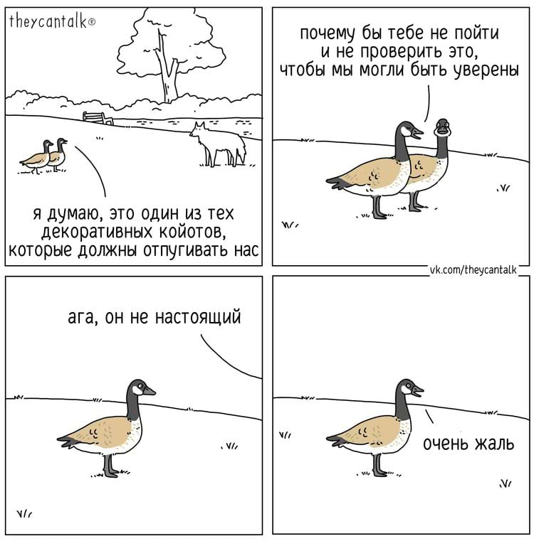 image-20240319111725-4