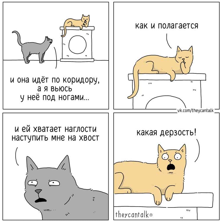 image-20240319111743-9