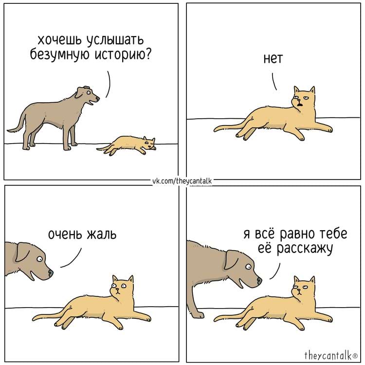 image-20240319111758-13