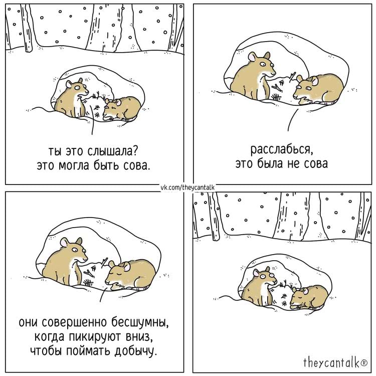 image-20240319111804-15