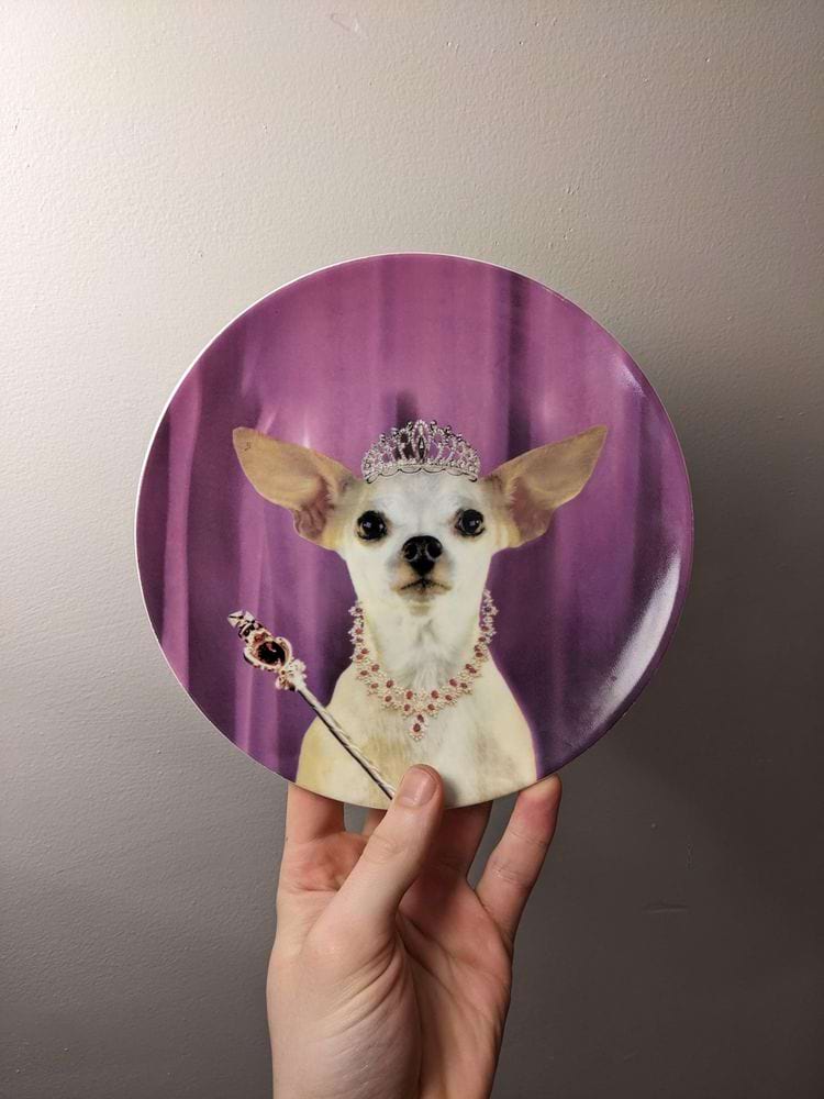 image-20240319132840-16