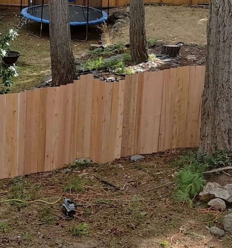 image-20240319145129-4