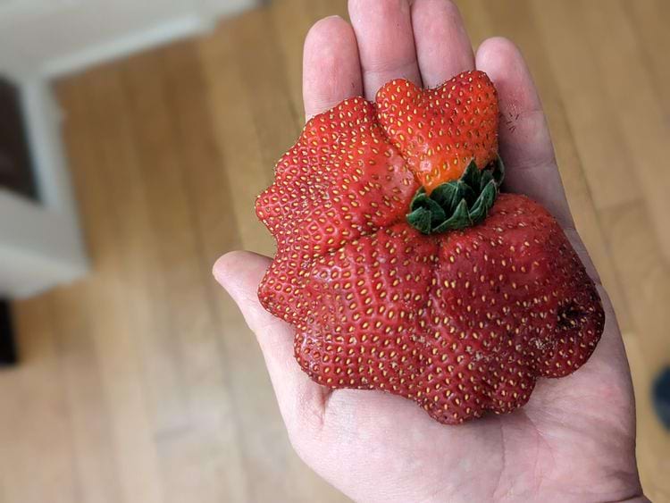 image-20240320125643-1