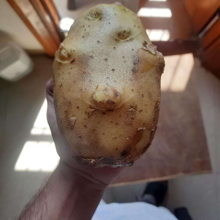 image-20240320125646-2