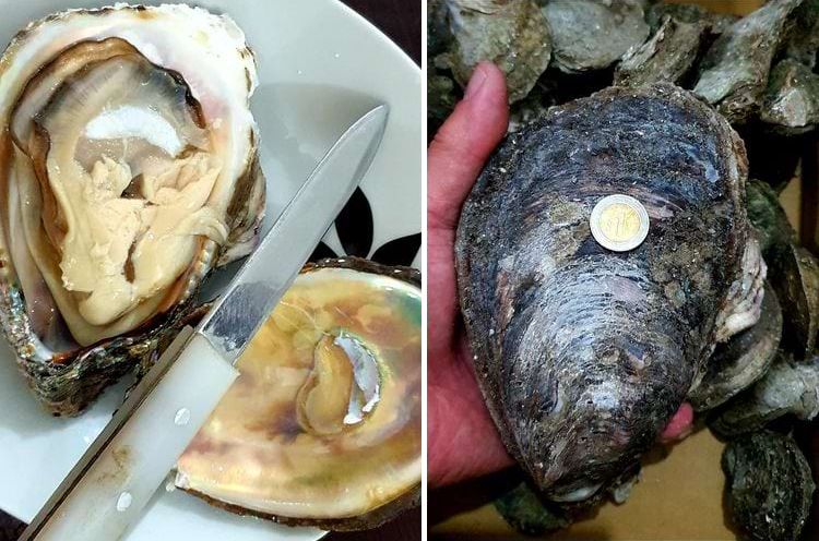 image-20240320125700-6