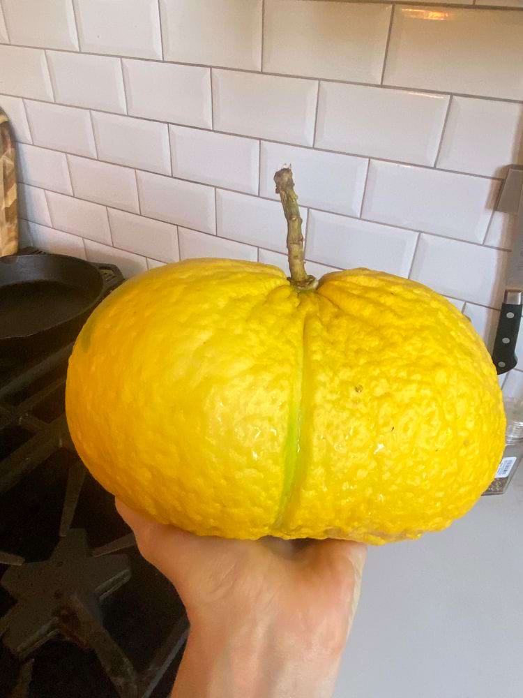 image-20240320125722-13