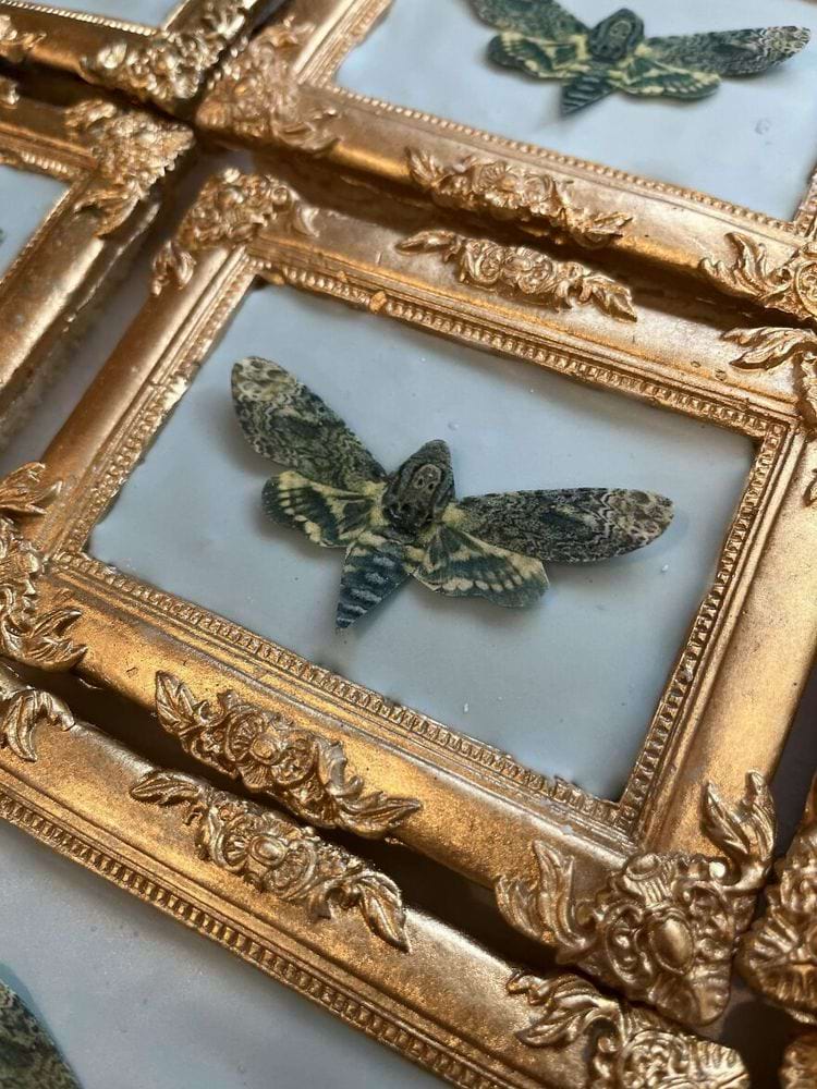 image-20240321104241-8