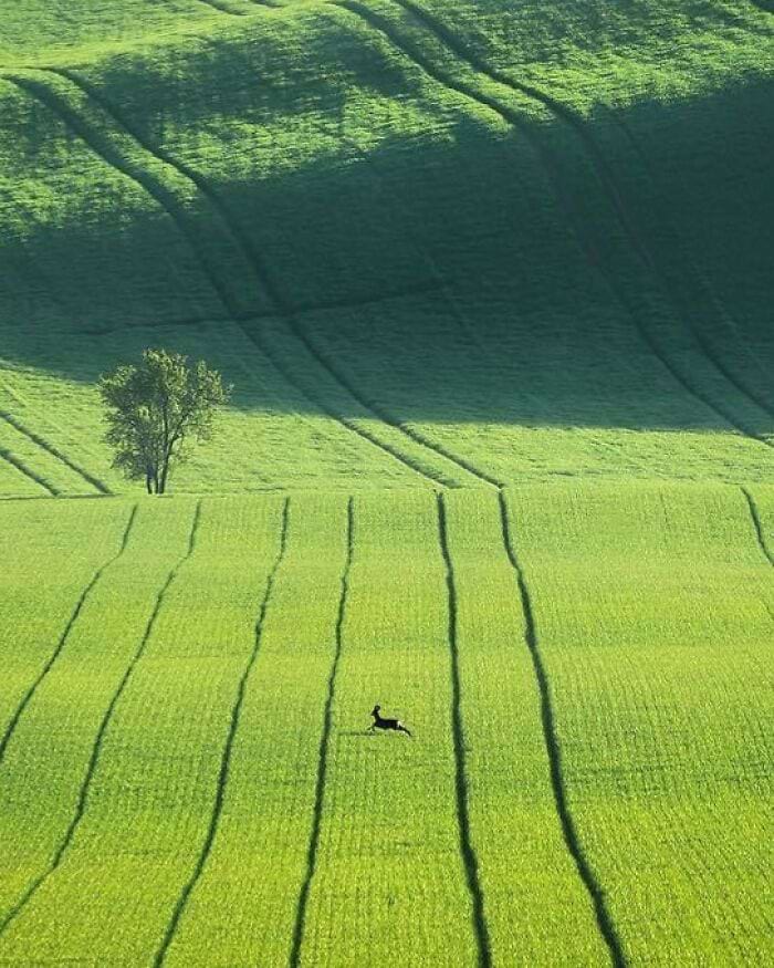 image-20240325121227-2