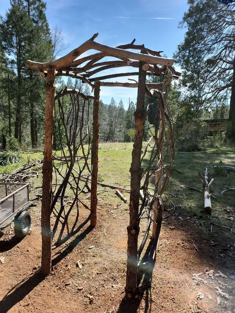 image-20240325165529-1