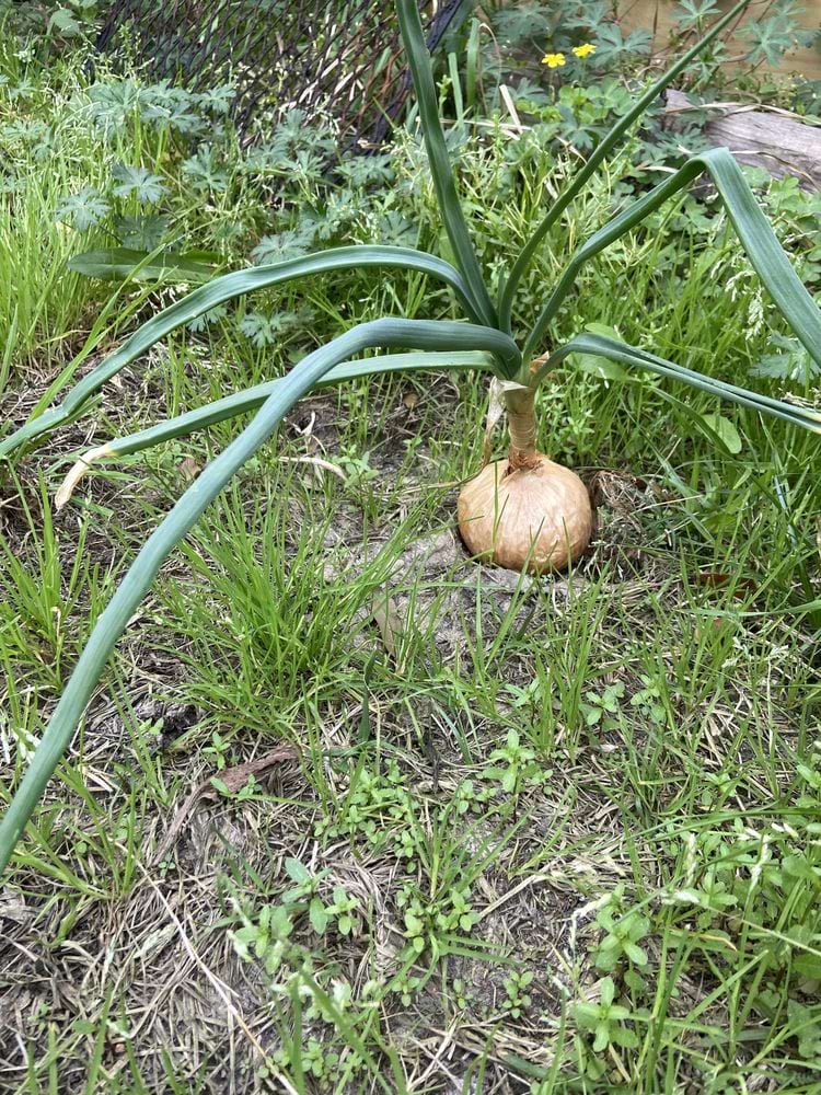 image-20240325165533-2