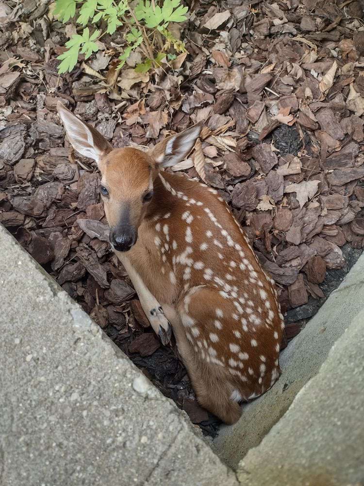 image-20240325165535-3