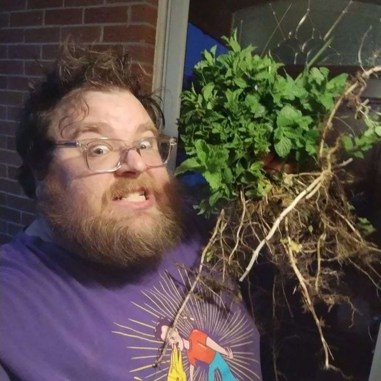 image-20240325165542-5