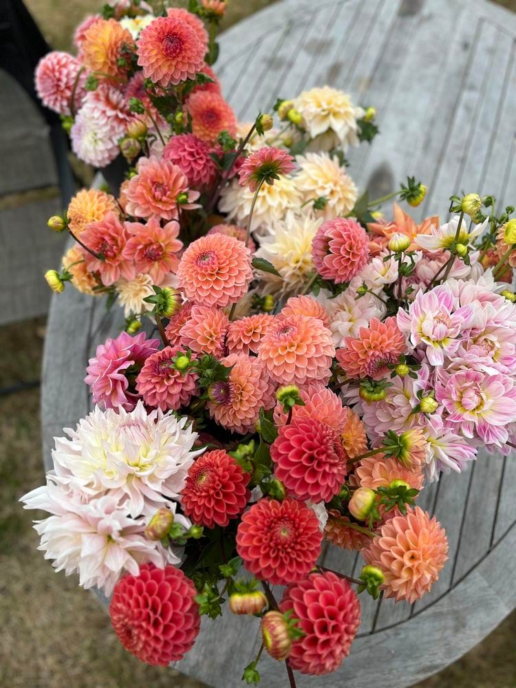 image-20240325165548-7