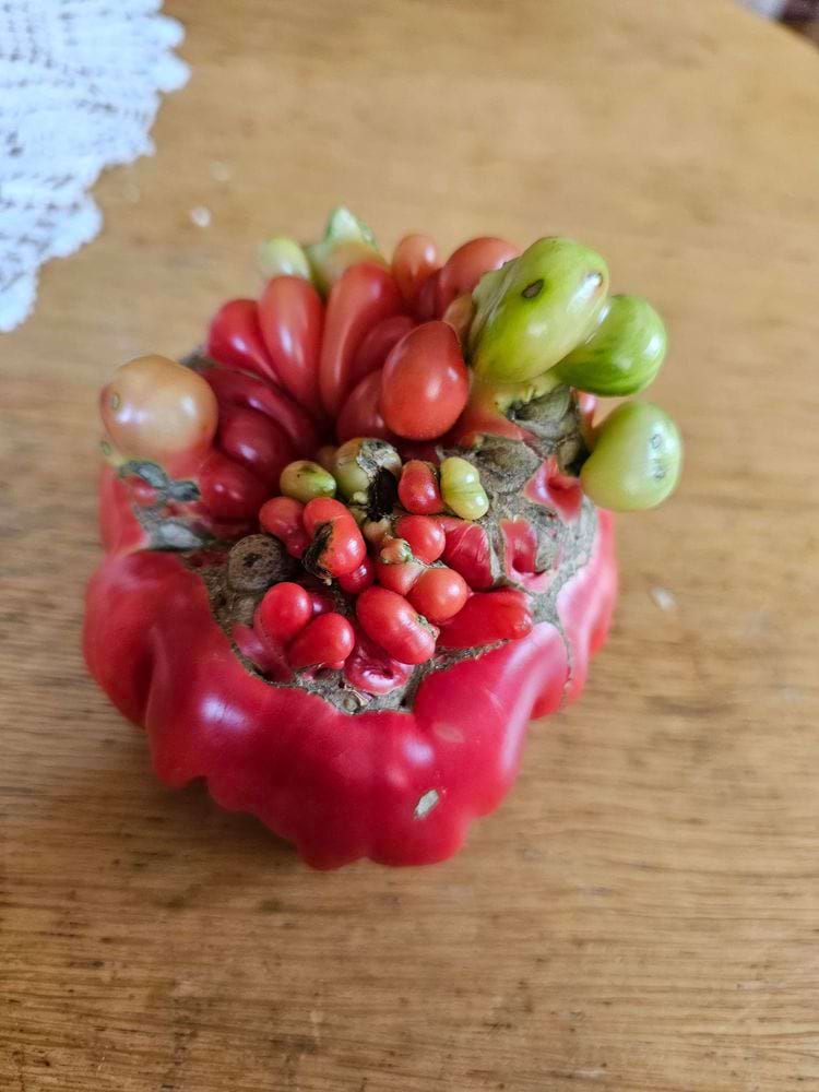 image-20240325165552-8