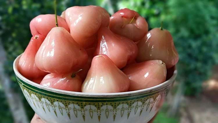 image-20240325165559-10