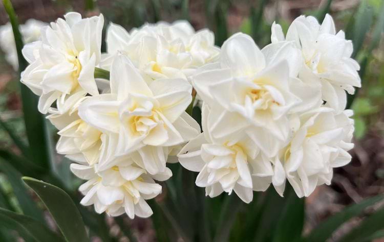 image-20240325165602-11