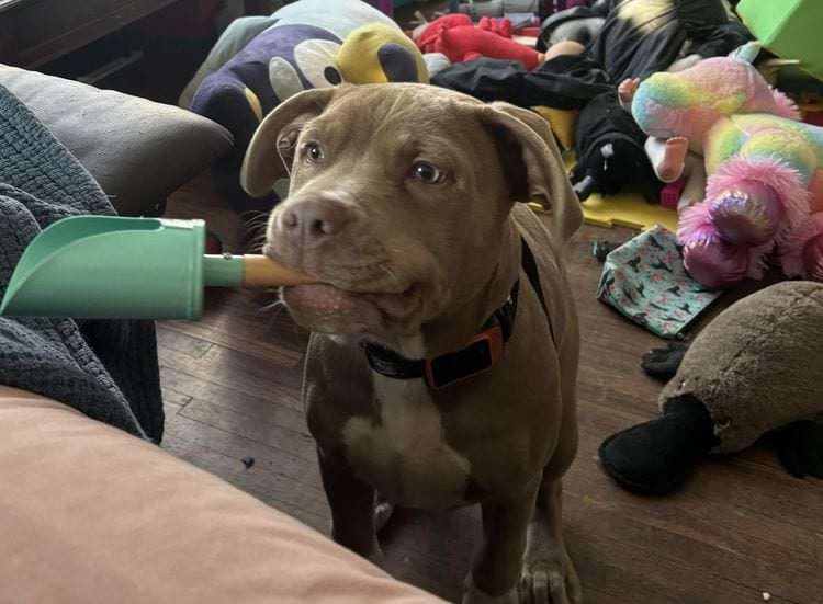 image-20240325165605-12