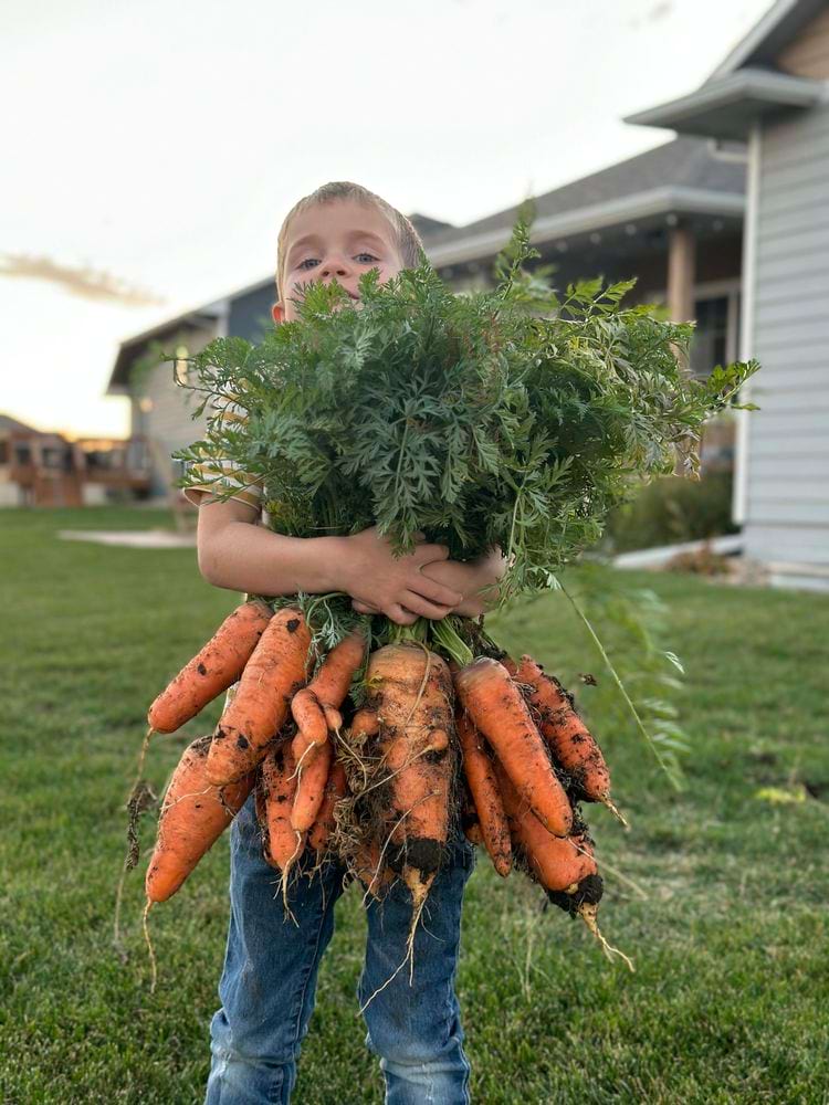 image-20240325165609-13