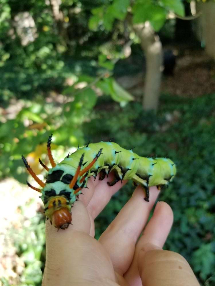 image-20240325165611-14