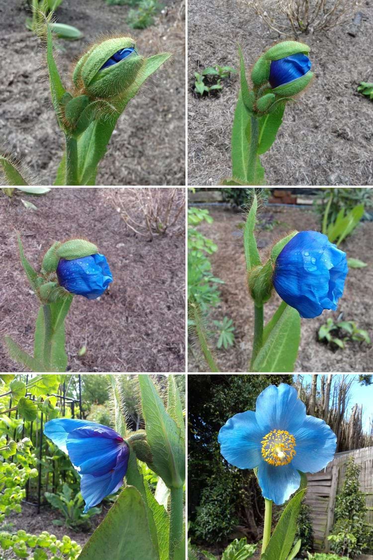 image-20240325165614-15