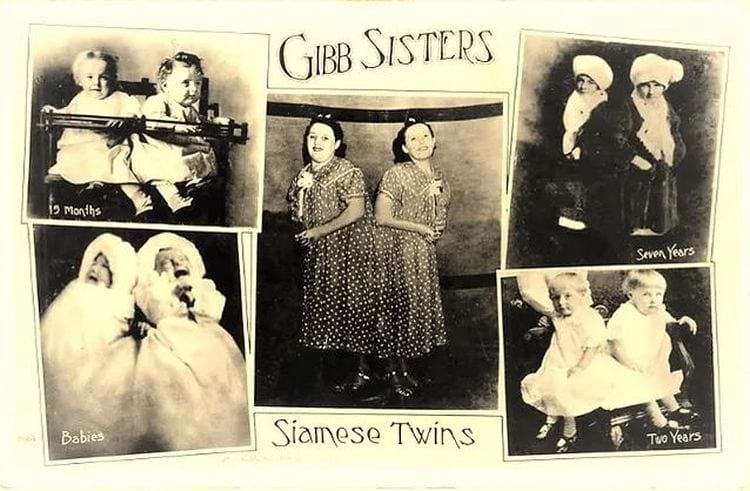 image-20240326164220-2