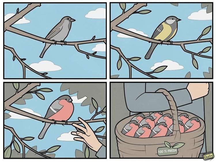 image-20240327112300-6