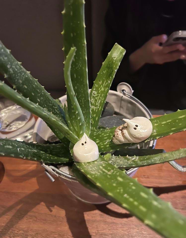 image-20240327170959-15