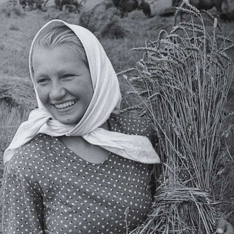 image-20240328153034-4