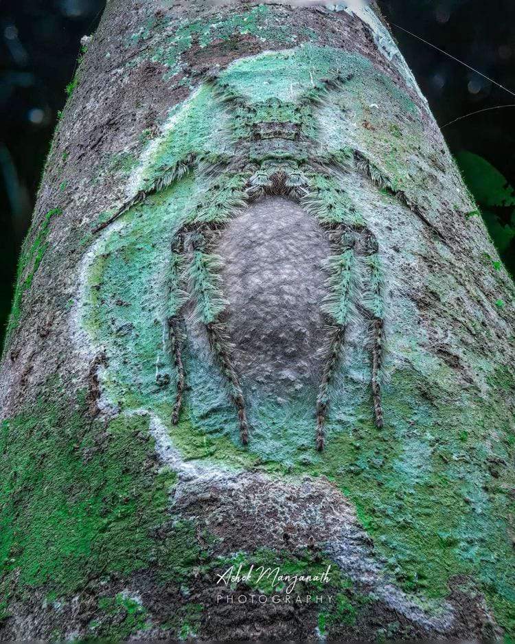 image-20240328171924-15