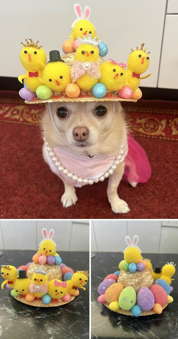 image-20240402134120-12