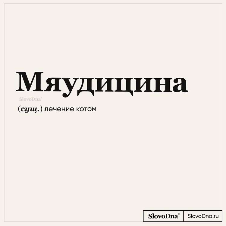 image-20240403115021-8