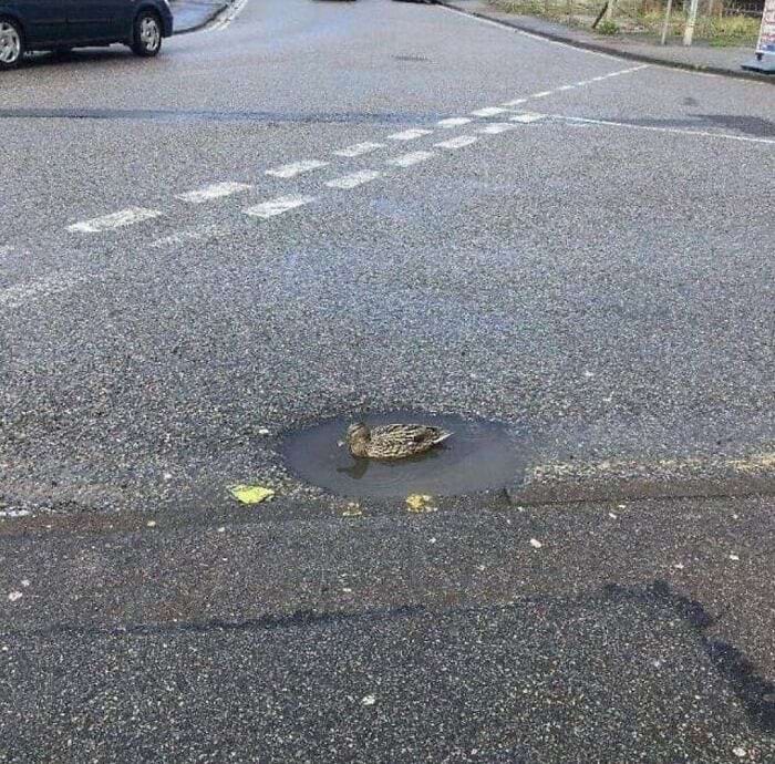 image-20240404151541-1