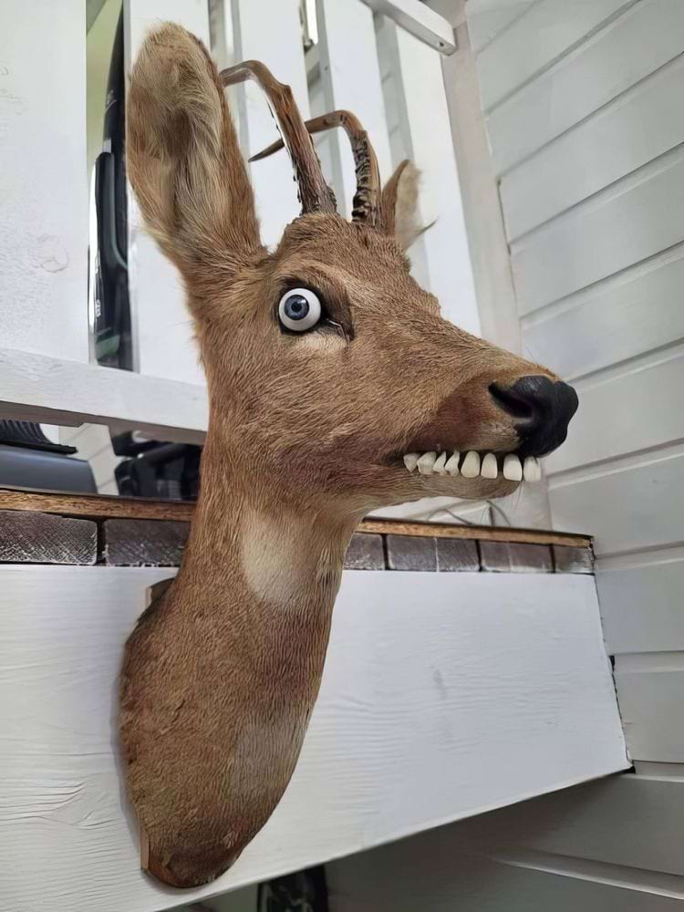 image-20240404151628-15