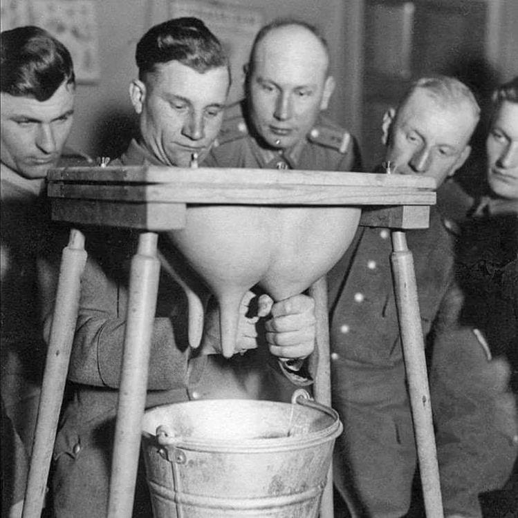 image-20240408123324-7