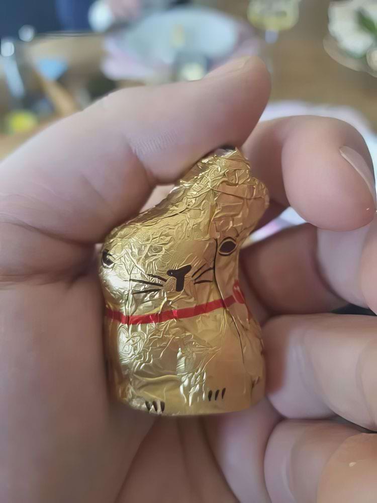 image-20240408142839-11