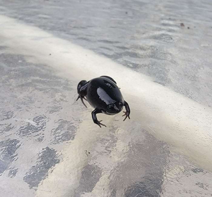 image-20240409130037-3